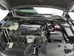 2019 Civic Thumbnail 20