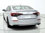 2026 Civic Thumbnail 6