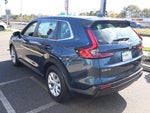 2024 CR-V Thumbnail 8