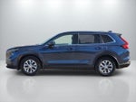2024 CR-V Thumbnail 7