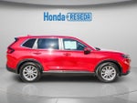 2025 CR-V Thumbnail 4