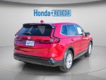 2025 CR-V Thumbnail 5