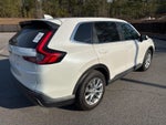 2026 CR-V Thumbnail 4