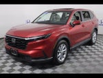 2025 CR-V Thumbnail 3