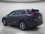 2025 CR-V Thumbnail 6