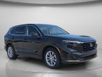2025 CR-V Thumbnail 8