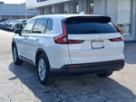 2025 CR-V Thumbnail 3