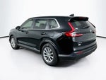 2026 CR-V Thumbnail 4