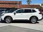 2023 CR-V Thumbnail 6