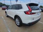2026 CR-V Thumbnail 3