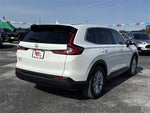 2023 CR-V Thumbnail 5