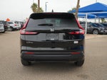 2024 CR-V Thumbnail 6