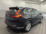2025 CR-V Thumbnail 3