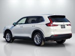 2025 CR-V Thumbnail 6