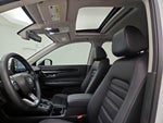 2025 CR-V Thumbnail 19