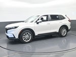 2024 CR-V Thumbnail 2