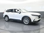 2024 CR-V Thumbnail 8
