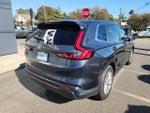 2025 CR-V Thumbnail 6
