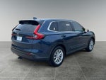 2025 CR-V Thumbnail 5