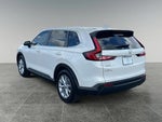 2025 CR-V Thumbnail 4