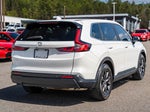 2026 CR-V Thumbnail 8