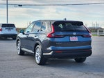 2025 CR-V Thumbnail 5