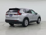 2024 CR-V Thumbnail 8