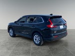 2025 CR-V Thumbnail 3