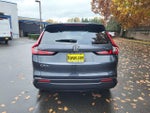 2026 CR-V Thumbnail 5