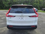 2025 CR-V Thumbnail 12