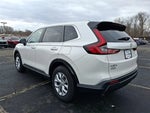 2025 CR-V Thumbnail 4