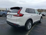 2025 CR-V Thumbnail 6