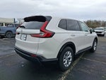 2025 CR-V Thumbnail 6