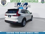 2026 CR-V Thumbnail 9