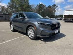 2024 CR-V Thumbnail 4