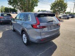2025 CR-V Thumbnail 4