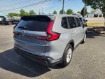 2025 CR-V Thumbnail 7