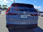 2026 CR-V Thumbnail 3