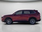 2024 CR-V Thumbnail 19