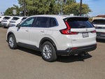 2025 CR-V Thumbnail 2