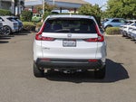 2025 CR-V Thumbnail 4