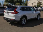 2025 CR-V Thumbnail 5