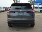 2026 CR-V Thumbnail 6