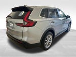 2024 CR-V Thumbnail 7