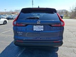 2024 CR-V Thumbnail 5