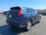 2024 CR-V Thumbnail 6