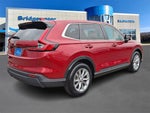 2024 CR-V Thumbnail 6