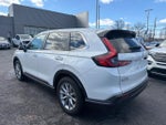 2025 CR-V Thumbnail 4