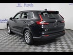 2025 CR-V Thumbnail 5
