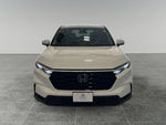 2024 CR-V Thumbnail 4